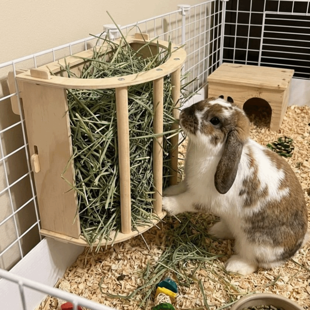 Practical Wooden Bunny Hay Fee - Woodworking Rabbet ulasan dan harga