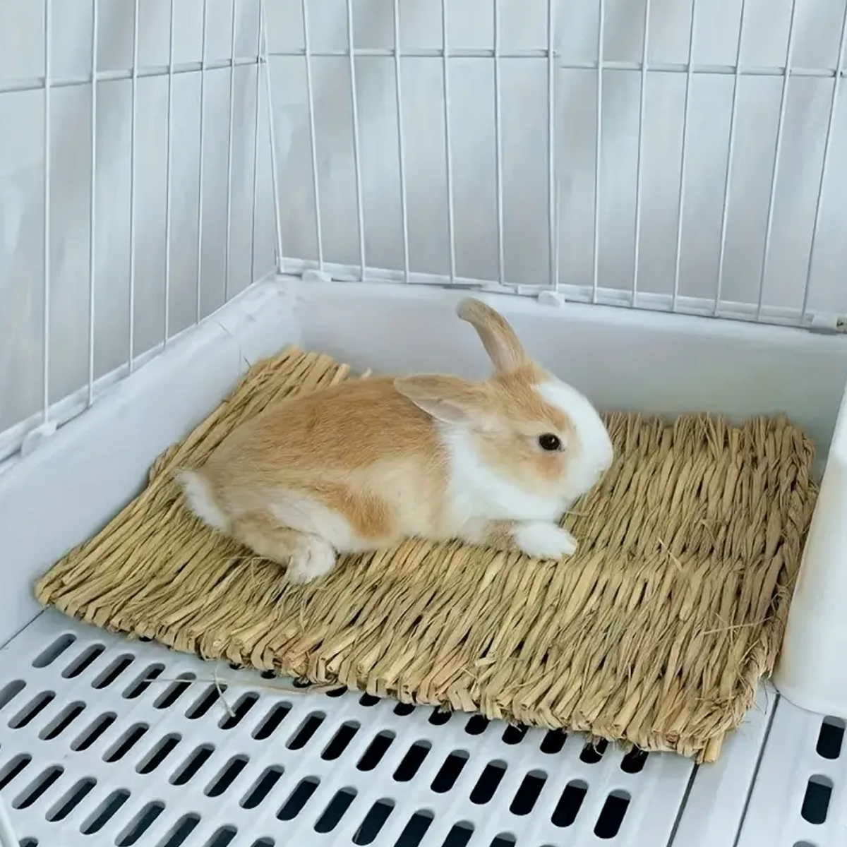 Natural grass woven rabbit gra - Woodworking Rabbet ulasan dan harga