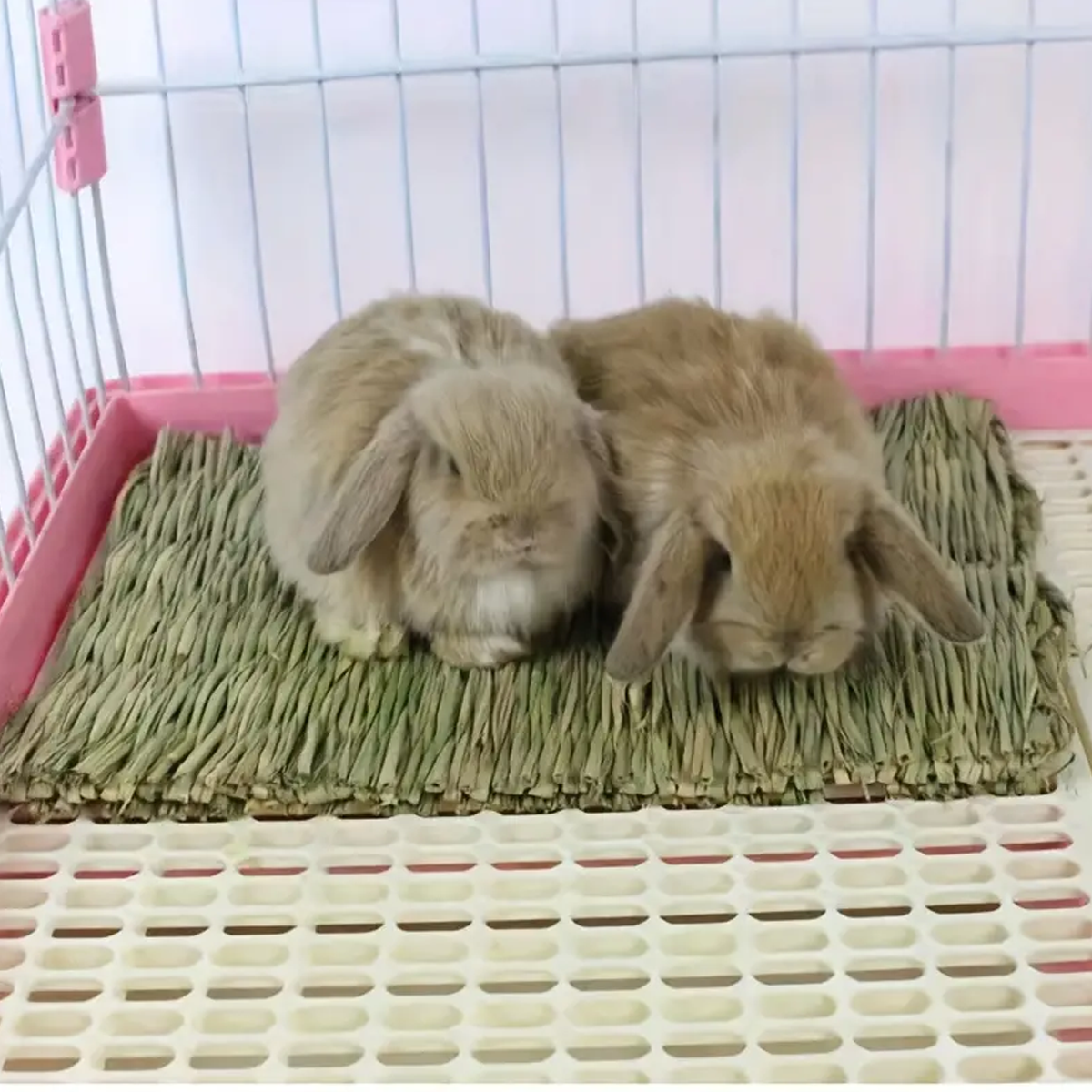 Natural grass woven rabbit gra - Woodworking Rabbet ulasan dan harga