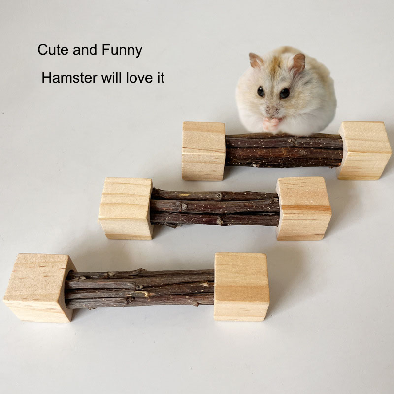 Pet Hamster Toy Natural Apple  - Woodworking Rabbet ulasan dan harga